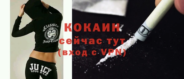 кокс Алексин