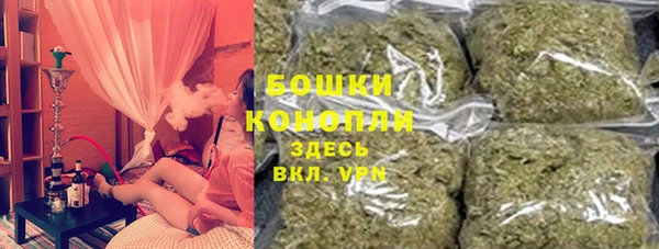 индика Аркадак