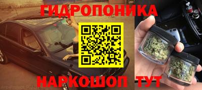 молекула духа Кулебаки