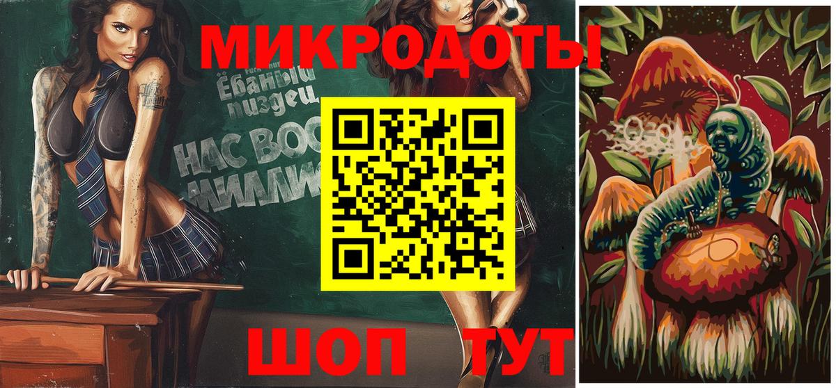 Галлюциногенные грибы Psilocybe Обнинск