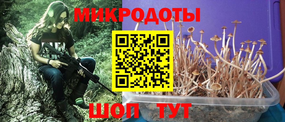 Обнинск  Псилоцибиновые грибы ЛСД  купить наркоту  Вход с VPN 